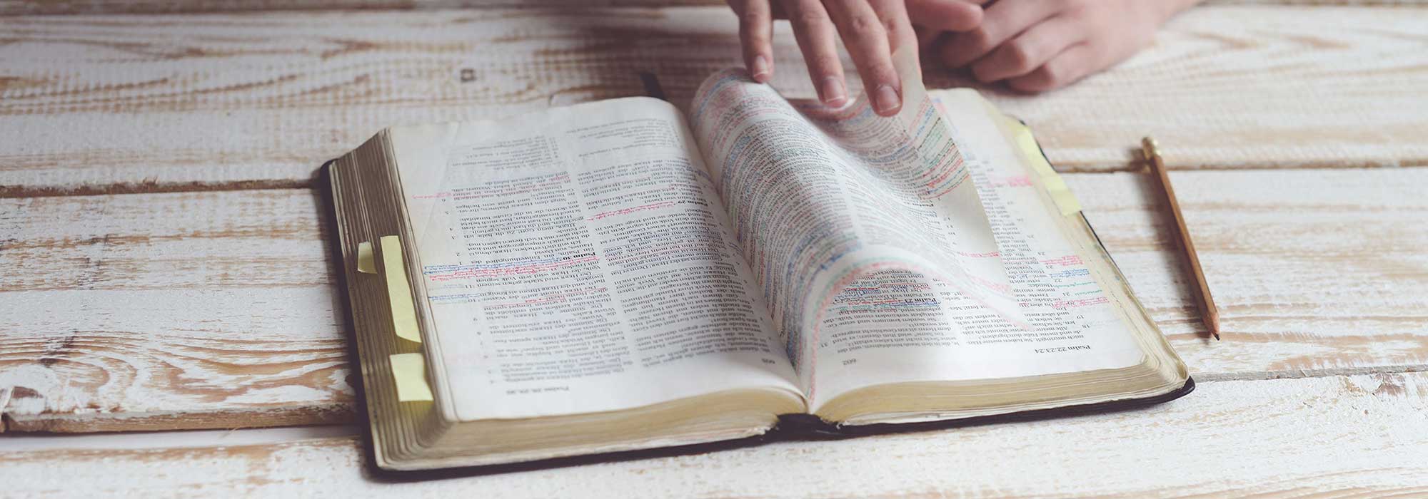 Estudiando la Biblia